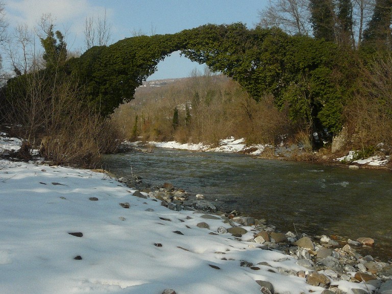 colpo di coda invernale e anfibi